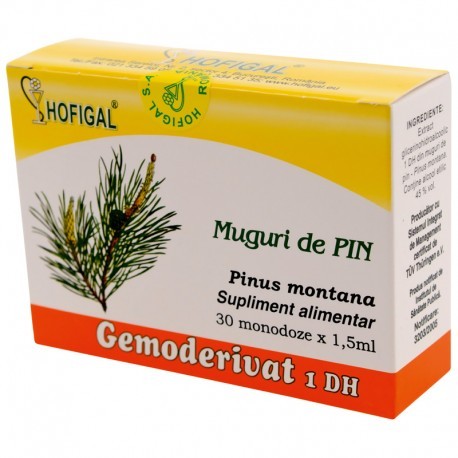 Hofigal Gemoderivat Muguri de Pin x 30monodz