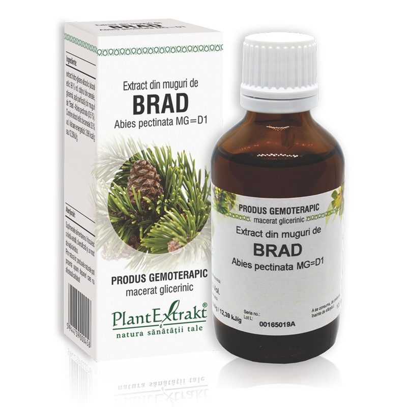 Extract Muguri de Brad 50ml Plant E