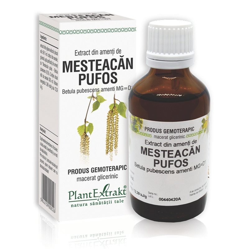 Extract Amenti de Mesteacan Pufos 50ml Plant E