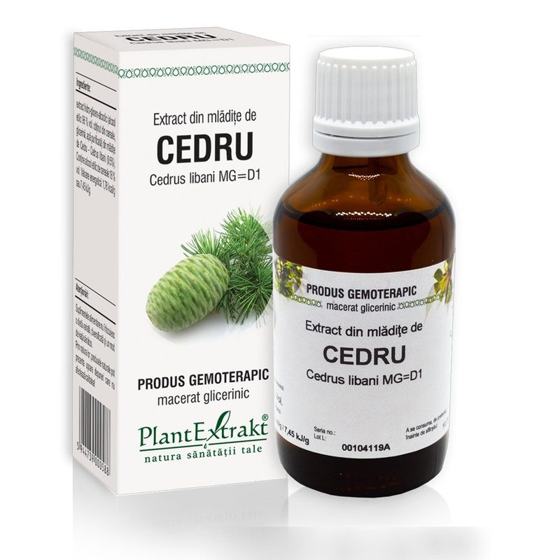 Extract Mladite de Cedru 50ml Plant E