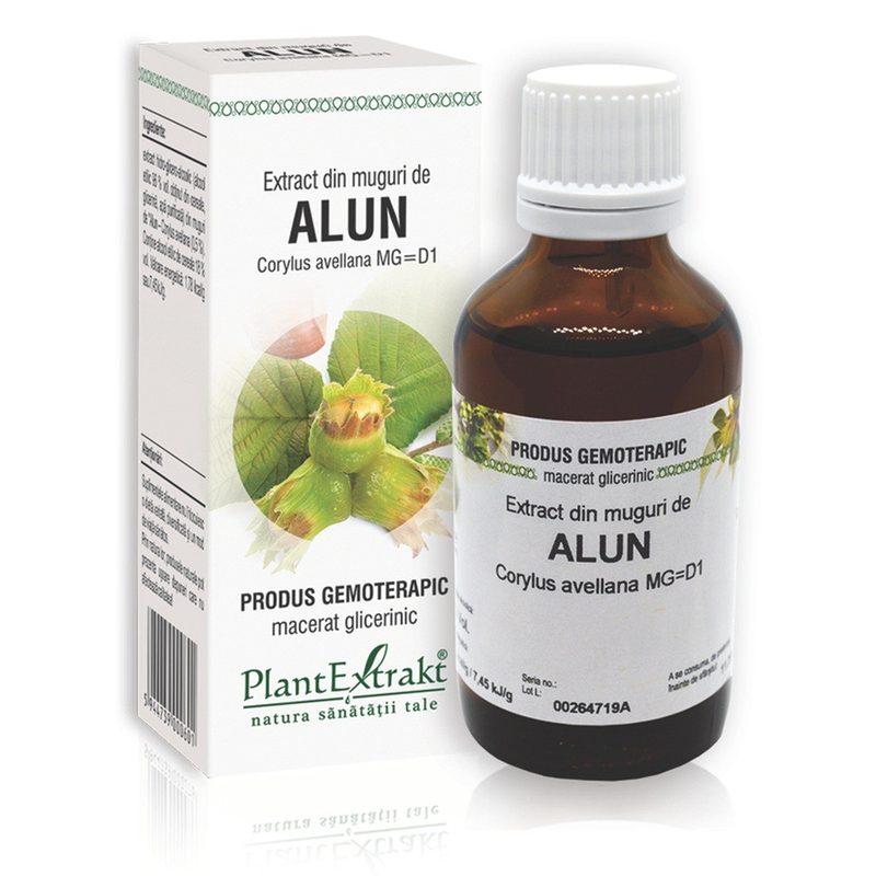 Extract Muguri de Alun 50ml Plant E