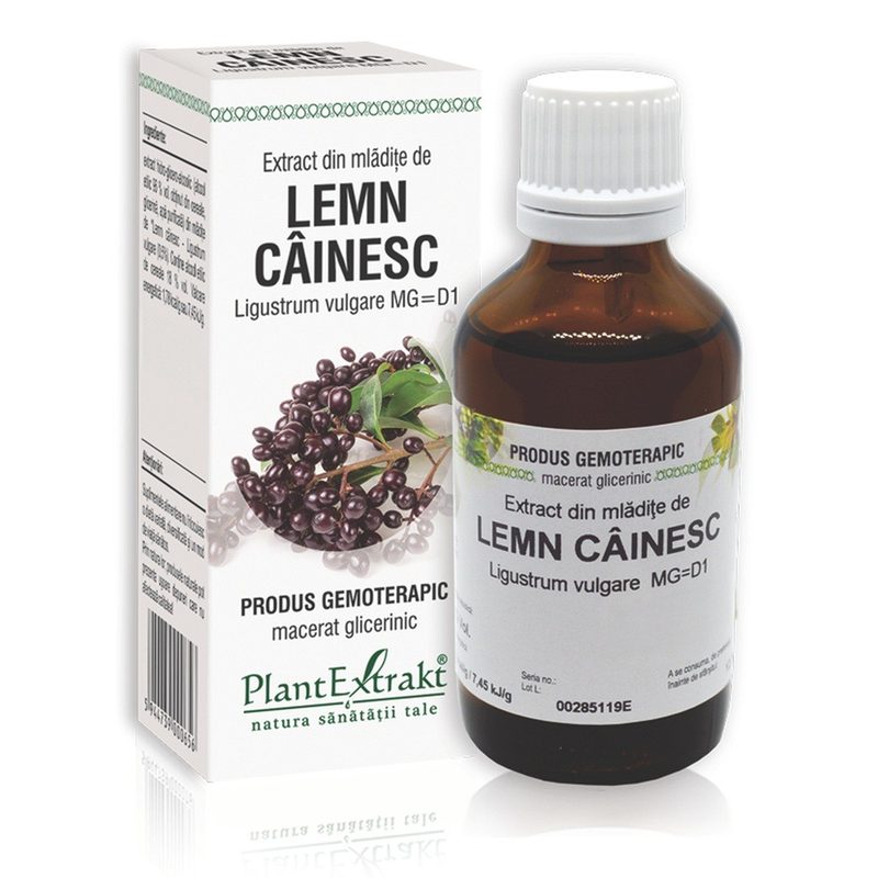 Extract Mladite de Lemn Cainesc 50ml Plant E