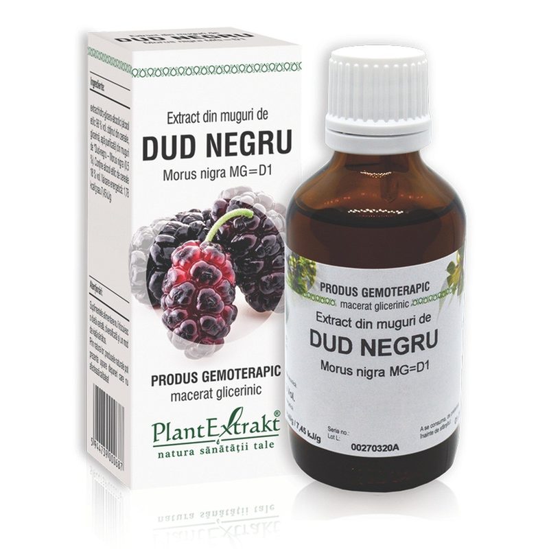 Extract Muguri de Dud 50ml Plant E