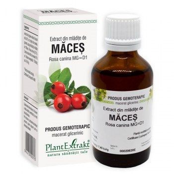 Extract Mladite de Maces 50ml Plant E