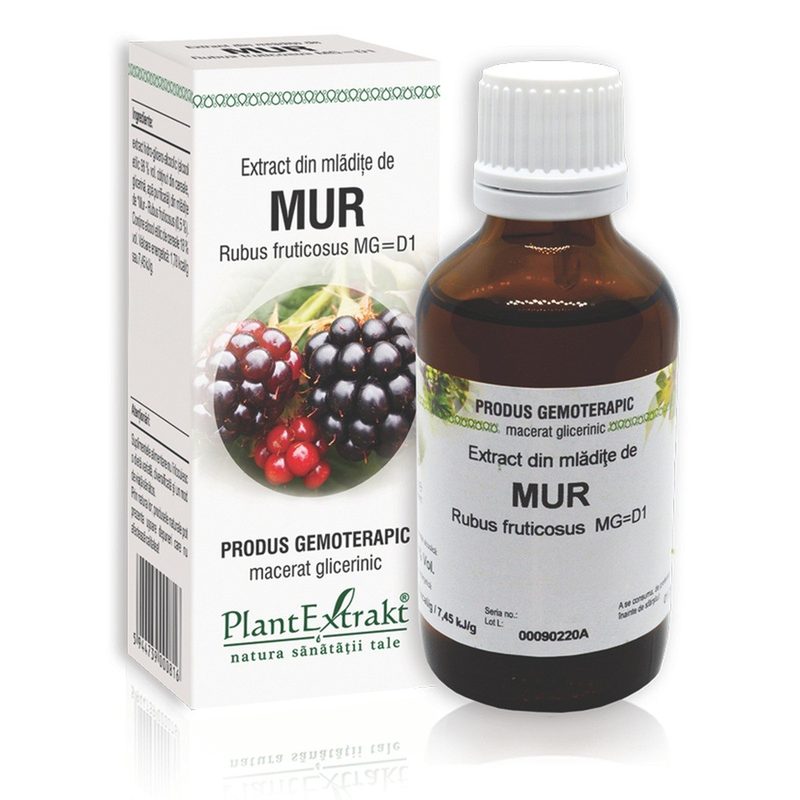 Extract Mladite de Mur 50ml Plant E