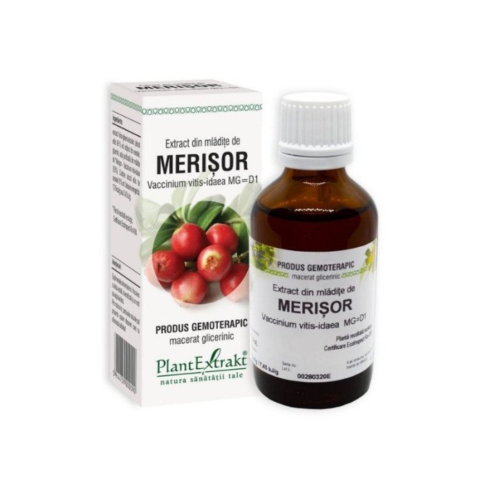 Extract Mladite de Merisor Concentrat 15ml Plant E