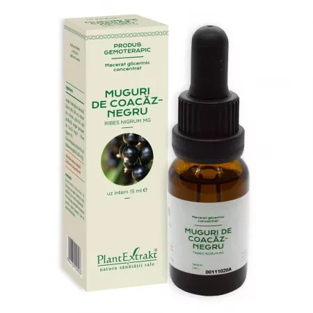 Extract Muguri de Coacaz Negru Concentrat 15ml Plant E