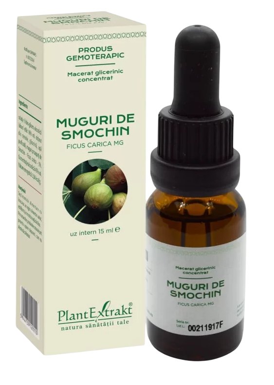 Extract Muguri de Smochin Concentrat 15ml Plant E
