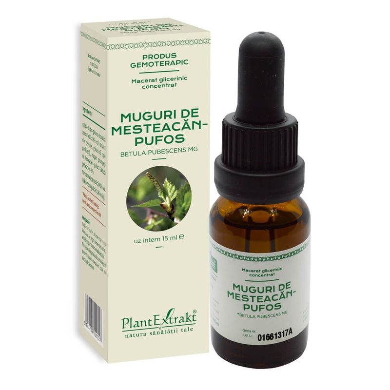Extract Muguri de Mesteacan Pufos Concentrat 15ml Plant E