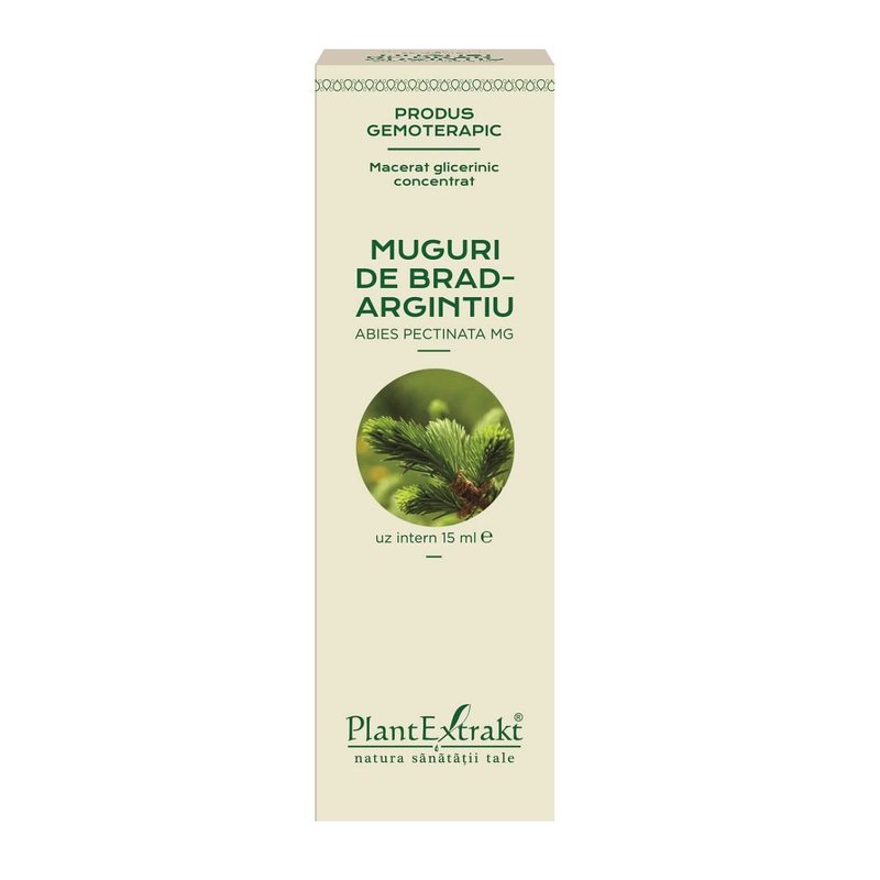 Extract Muguri de Brad Argintiu Concentrat 15ml Plant E