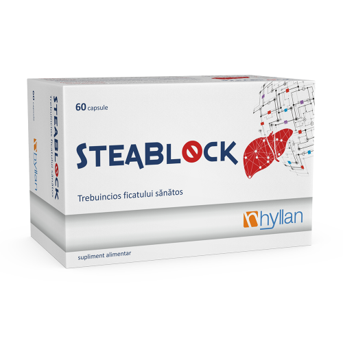 Steablock x 60cps Hyllan