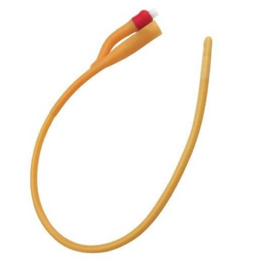 Sonda Foley nr 20